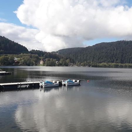 Chalet 3 Etoiles A Gerardmer. 외부 사진