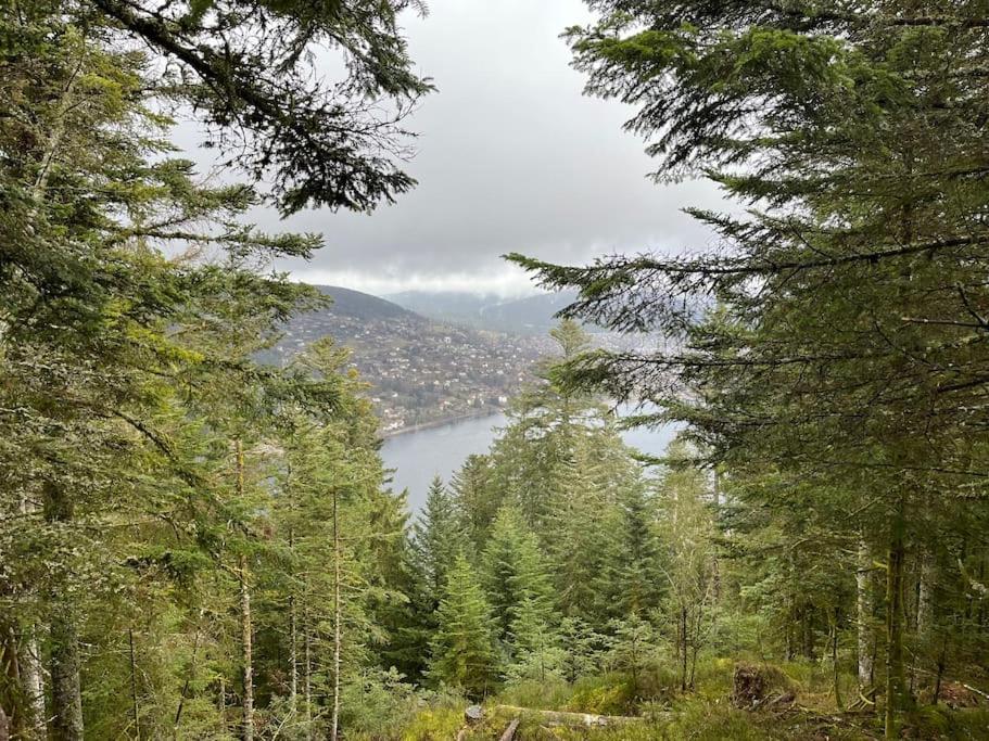 Chalet 3 Etoiles A Gerardmer. 외부 사진