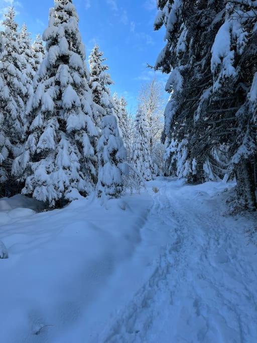 Chalet 3 Etoiles A Gerardmer. 외부 사진