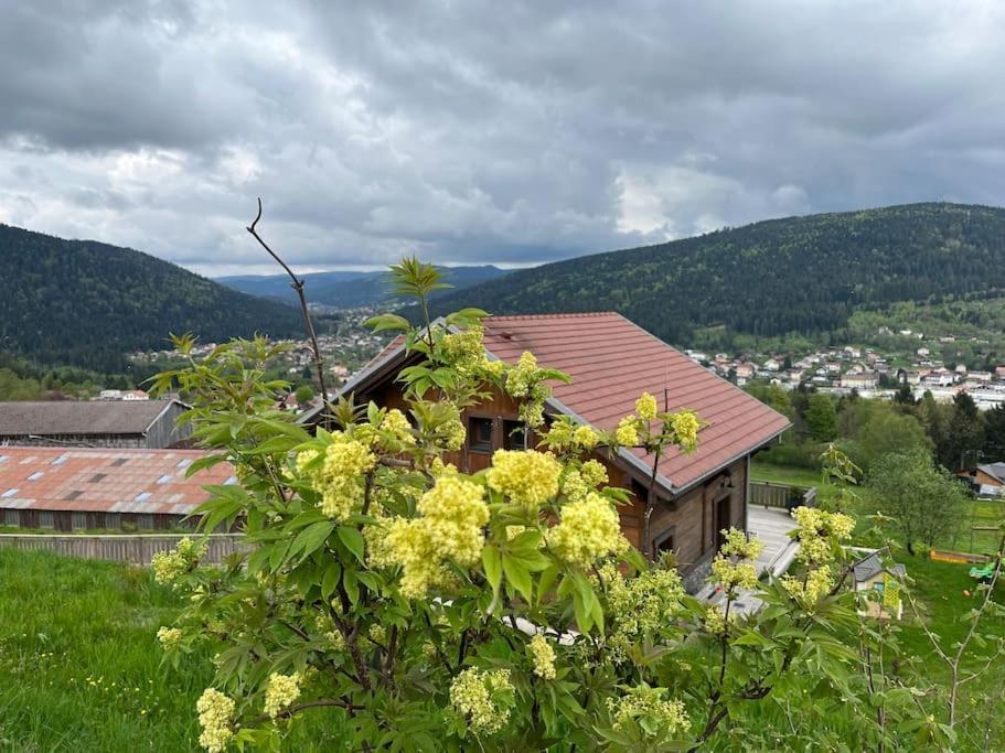 Chalet 3 Etoiles A Gerardmer. 외부 사진