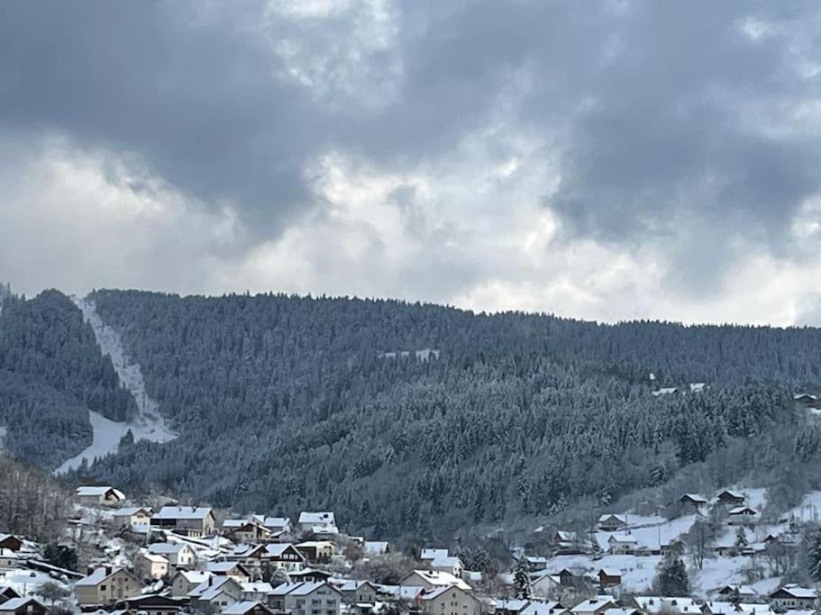 Chalet 3 Etoiles A Gerardmer. 외부 사진