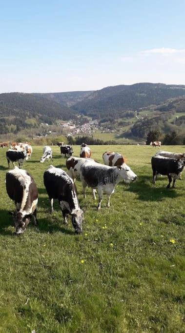 Chalet 3 Etoiles A Gerardmer. 외부 사진
