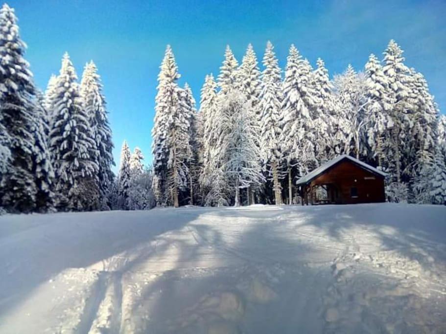 Chalet 3 Etoiles A Gerardmer. 외부 사진