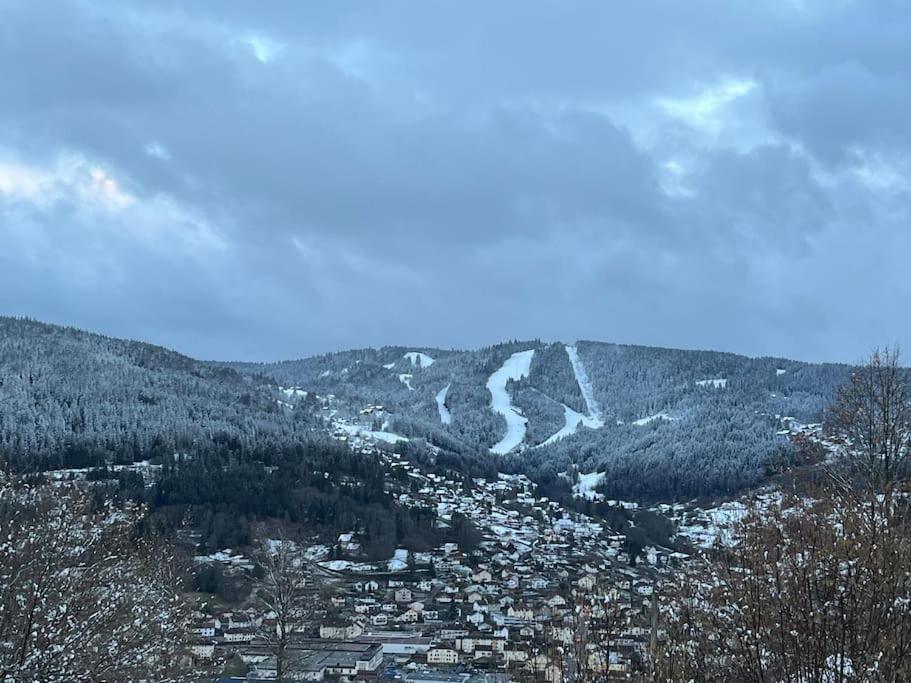 Chalet 3 Etoiles A Gerardmer. 외부 사진