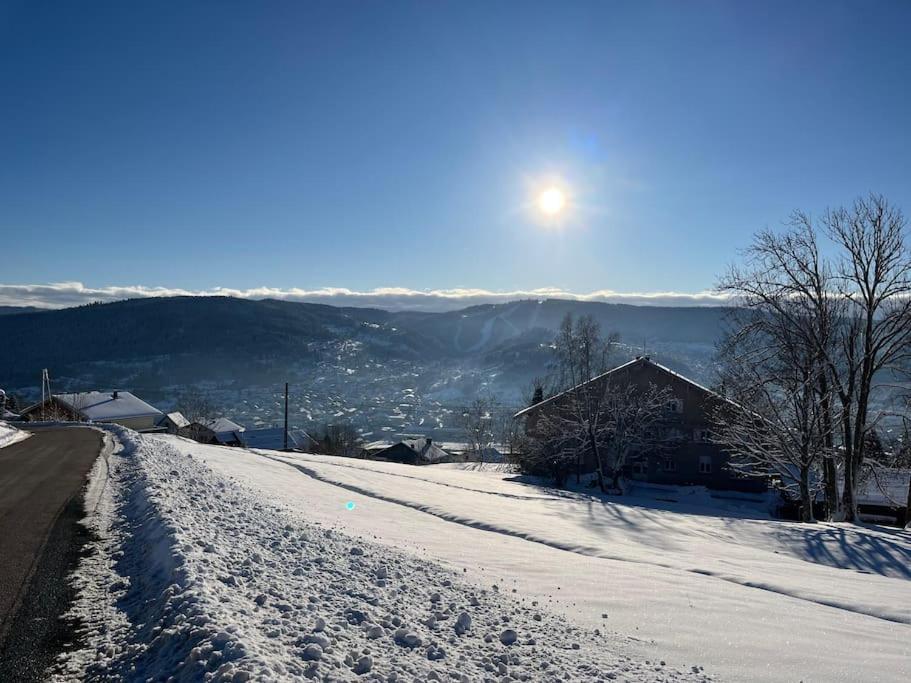 Chalet 3 Etoiles A Gerardmer. 외부 사진