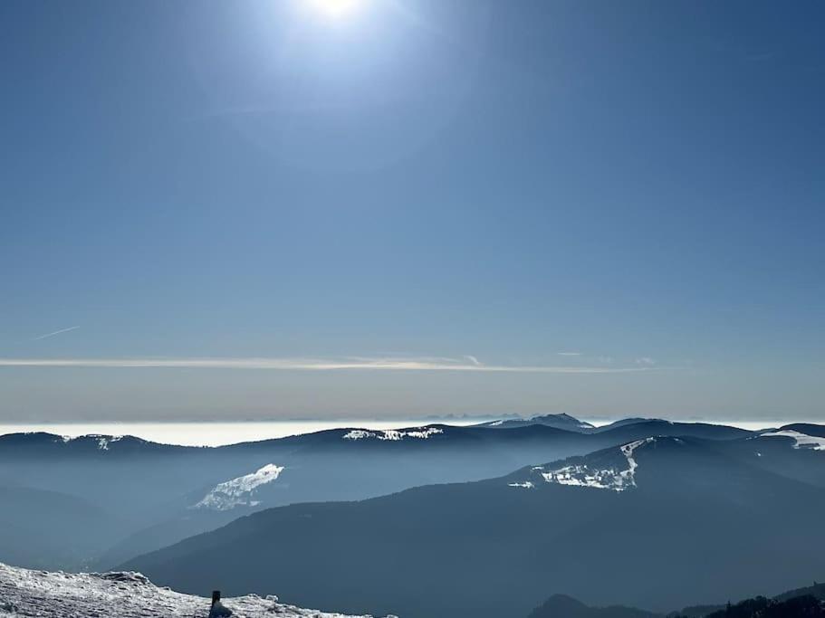 Chalet 3 Etoiles A Gerardmer. 외부 사진