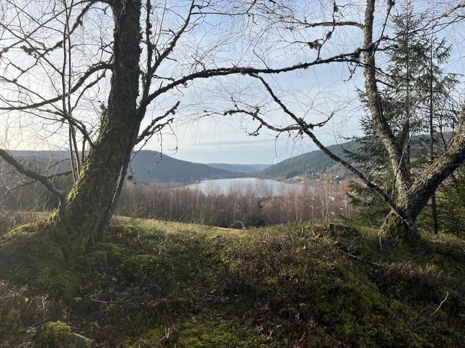 Chalet 3 Etoiles A Gerardmer. 외부 사진