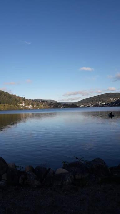 Chalet 3 Etoiles A Gerardmer. 외부 사진