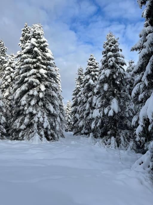 Chalet 3 Etoiles A Gerardmer. 외부 사진