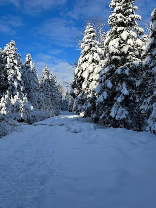 Chalet 3 Etoiles A Gerardmer. 외부 사진
