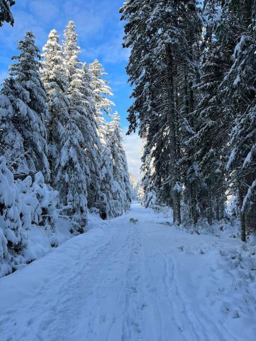 Chalet 3 Etoiles A Gerardmer. 외부 사진
