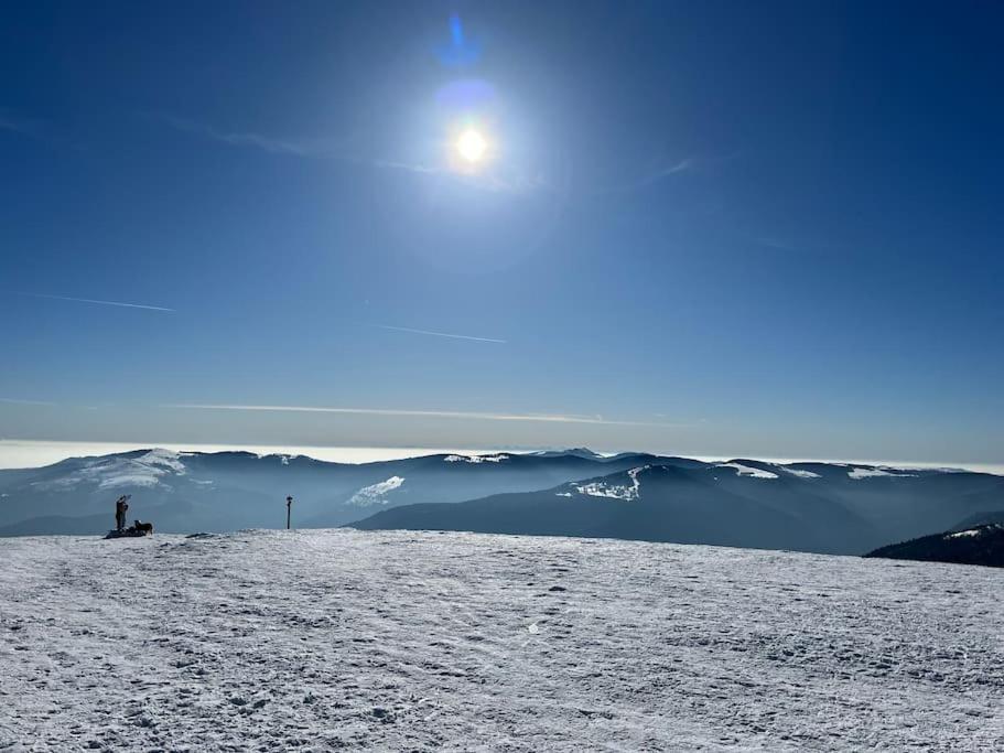 Chalet 3 Etoiles A Gerardmer. 외부 사진