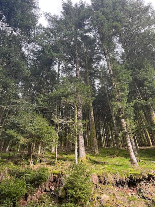Chalet 3 Etoiles A Gerardmer. 외부 사진