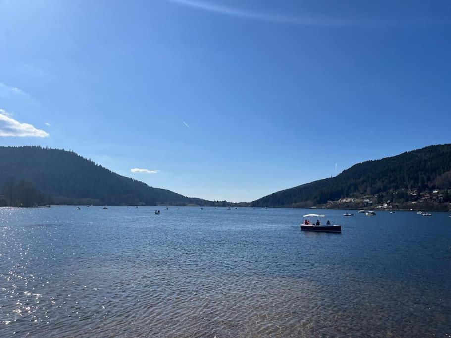 Chalet 3 Etoiles A Gerardmer. 외부 사진